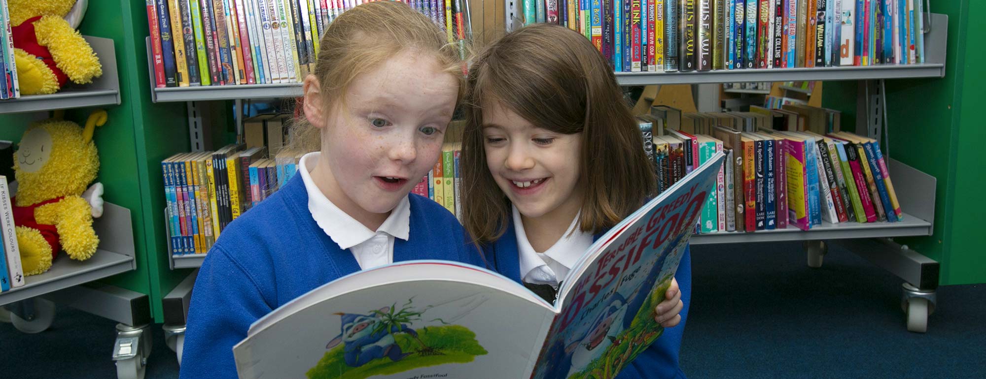 culture-libraries-Eyemouth