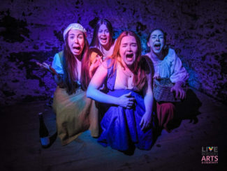 Hysterical: a new play from koi collective – Theatre @ Heart of Hawick Image