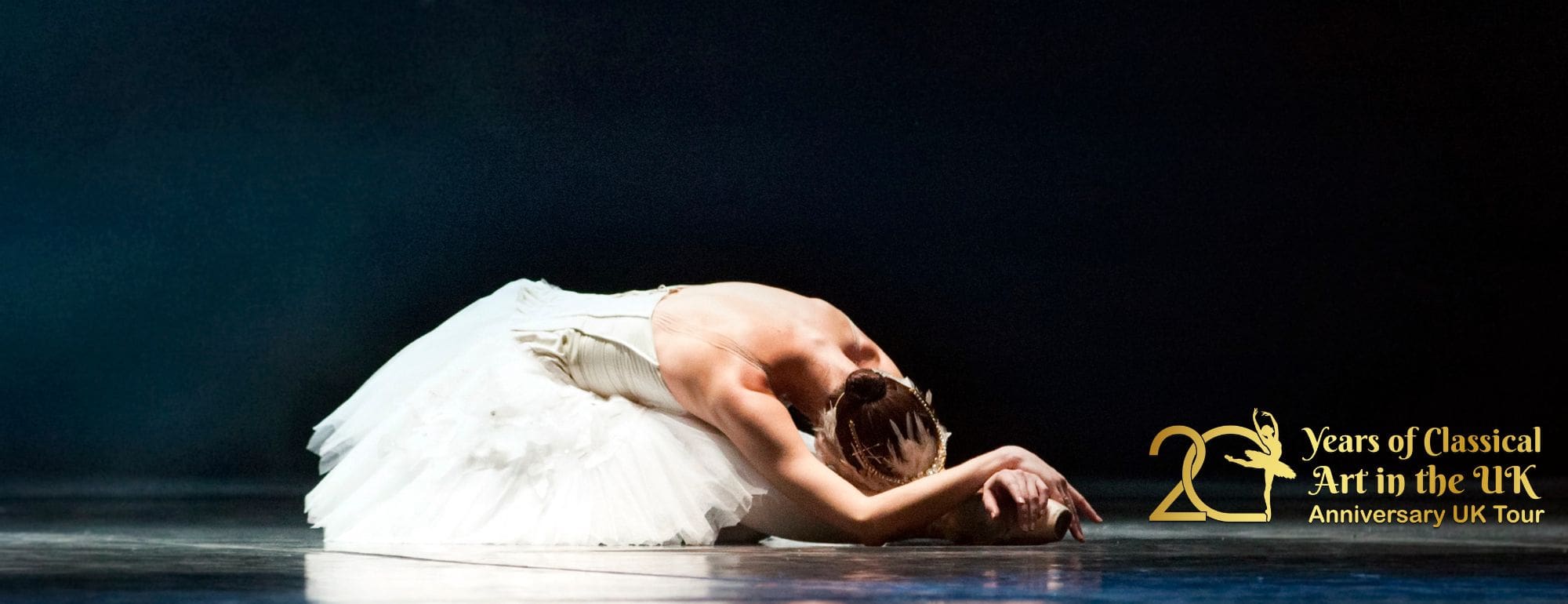 Crown Swan LAKE v2 banner