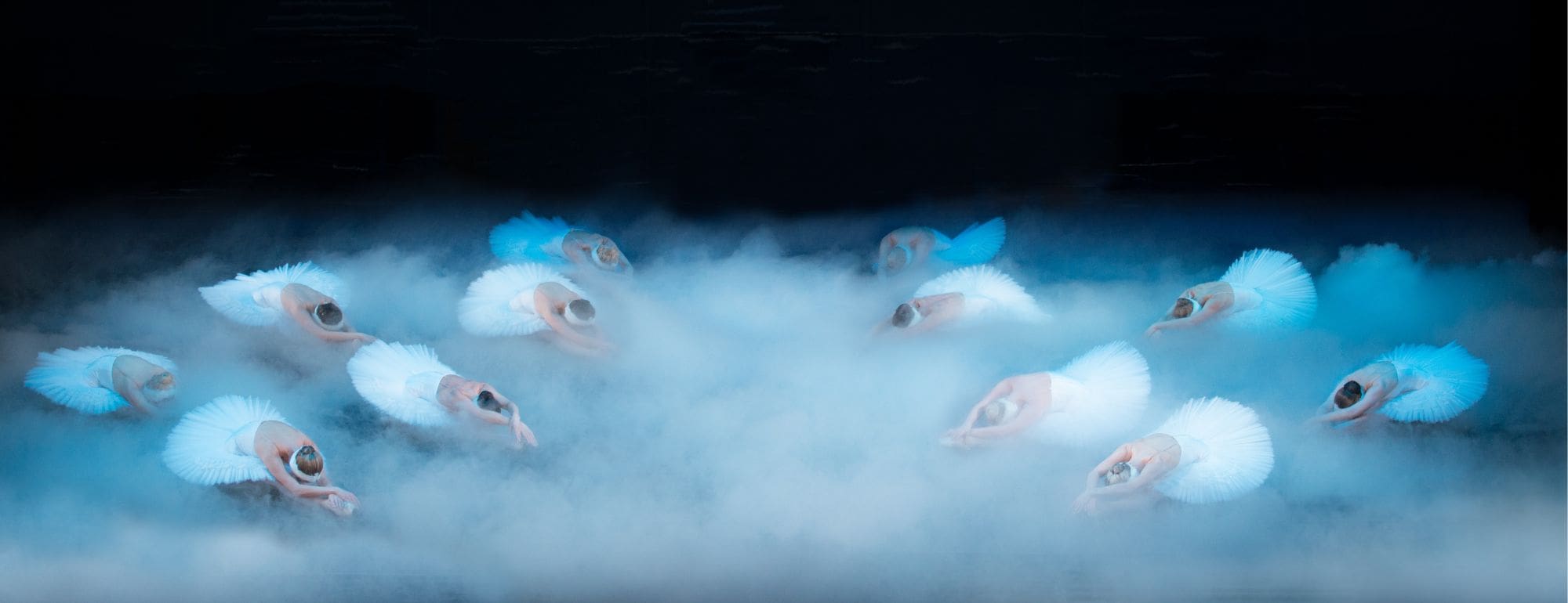 swan lake web banner image