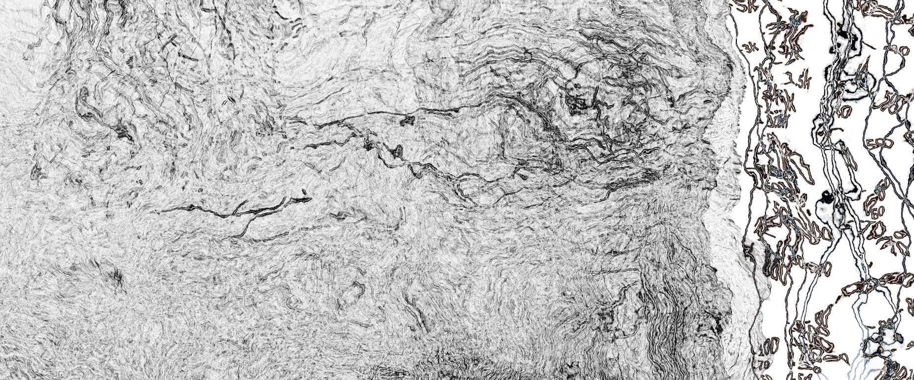 OOR_Scintilla Whiteadder sonogram detail