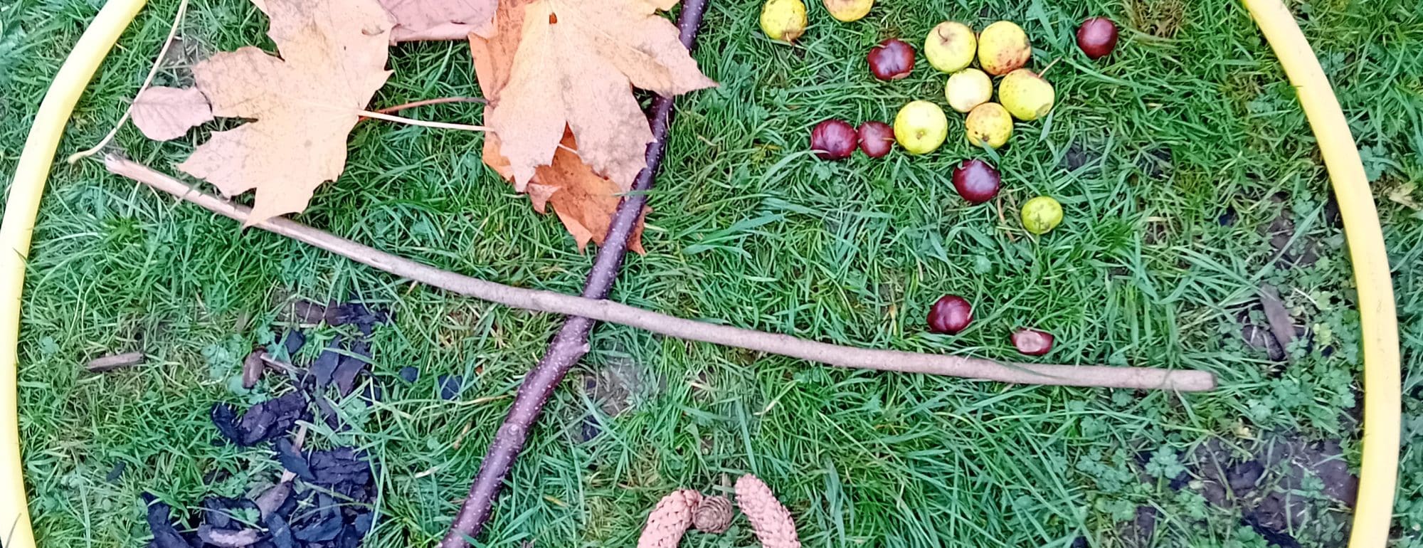 Forest School Practitioners’ Training