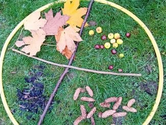 Forest School Practitioners’ Training: Integrating Maths into Outdoor Learning Image