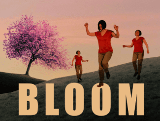 Bloom @ Melrose Corn Exchange Image