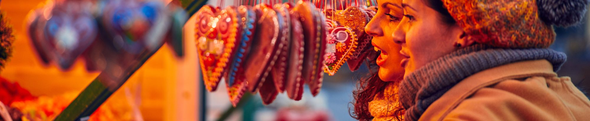 Christmas sale (2000 x 410 px) (1)