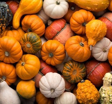 Kids Workshops at Peebles Library, Museum and Gallery Image