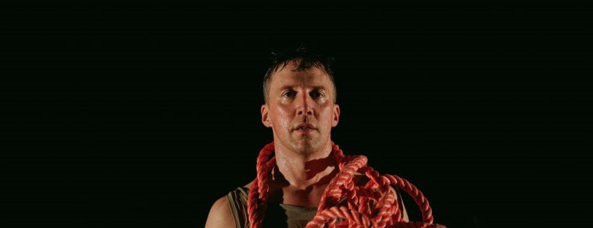 wordpress banner - the bacchae