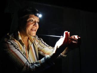 Lighting Ridge @ Melrose Corn Exchange Image