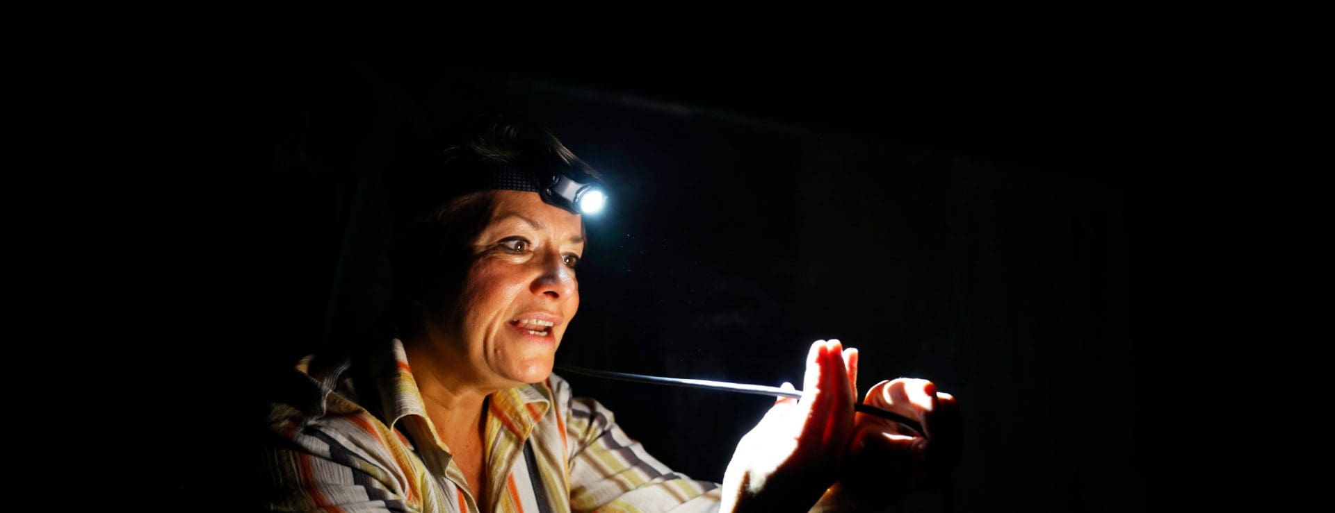 thumbnail_wordpress banner - lightning ridge