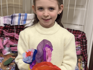 Drop in Spring Crafts at Borders Textile Towerhouse Image