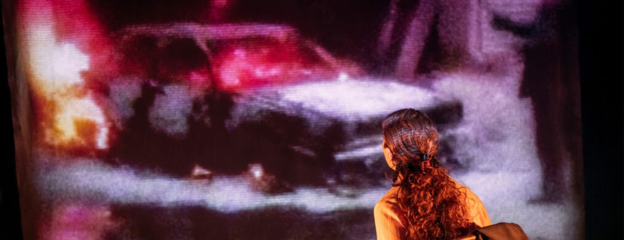 wordpress banner - revolution days