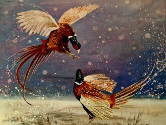 The Annual Open Exhibition - Hawick Art Club  Image