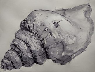 Annual Exhibition 2026 - Galashiels Studio Club Image